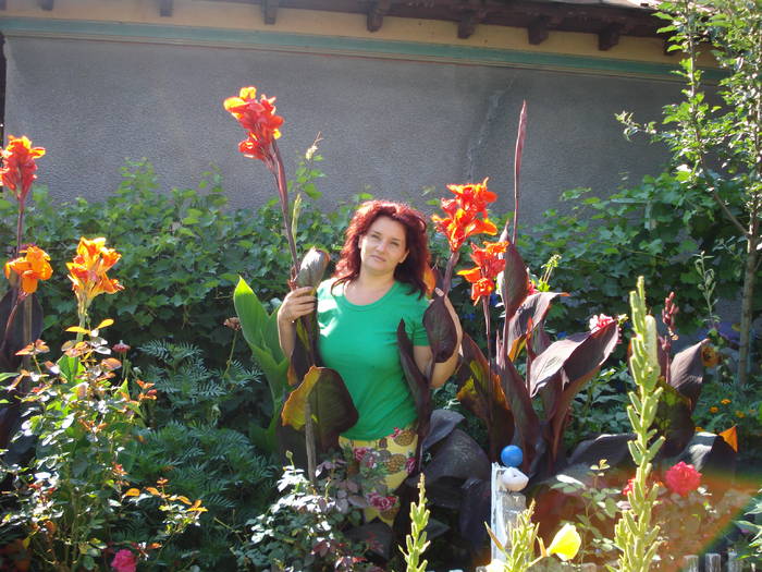 PRINTRE FLORI