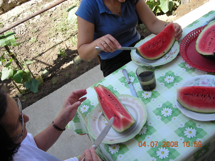 DSCN7287