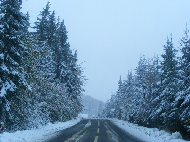 DSCF7303 - ninge in Maramu
