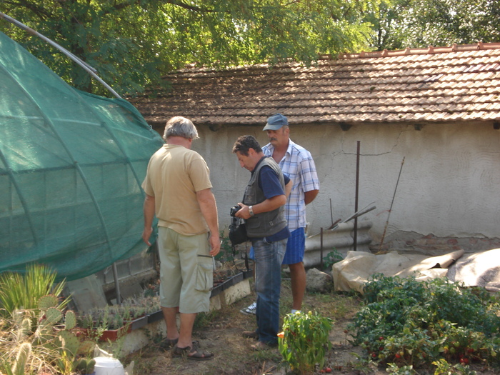 videok 042