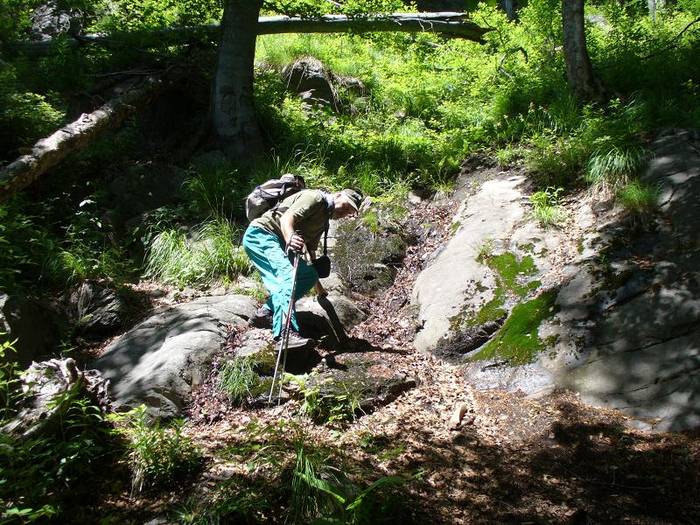 P1000574 - varful Ignis Maramures