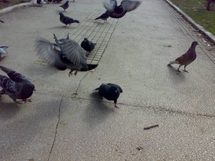 280220091836 - 18a Constanta 1