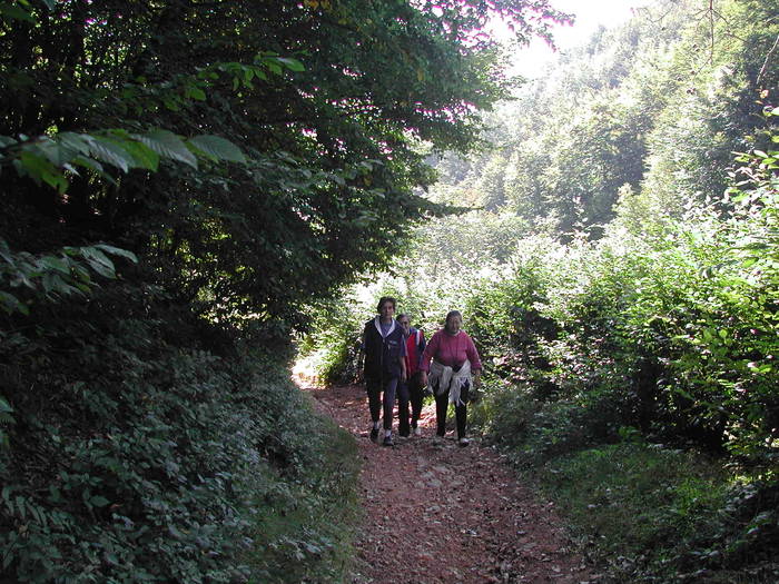 Picture 195 - Firiza