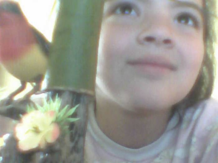 snapshot-68 - Pentru iutu