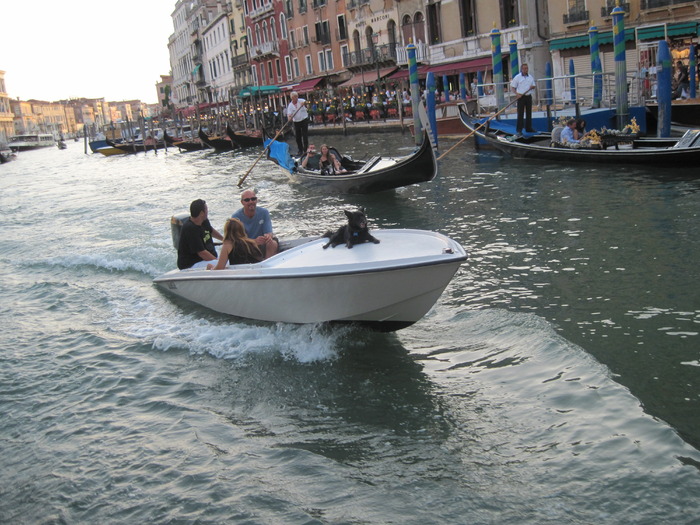 IMG_3228 - VENEZIA