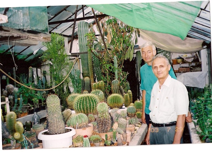 scan0006