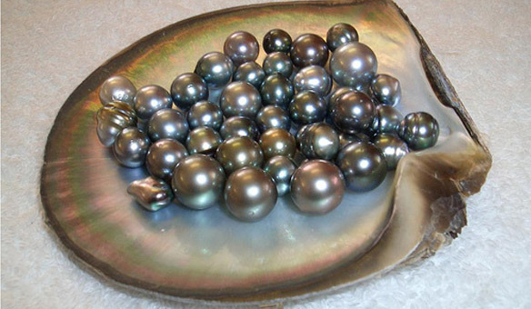 447_perla-in-scoica-2 - bijuteri