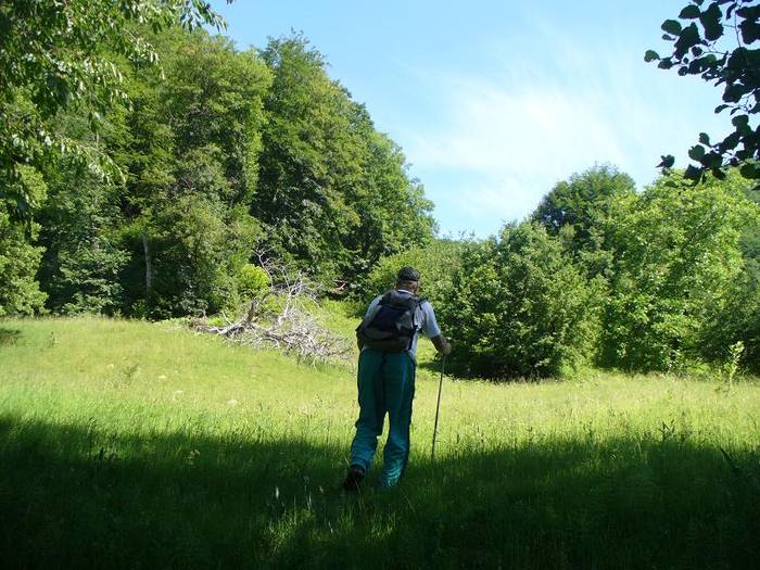 P1000369 - varful Ignis Maramures