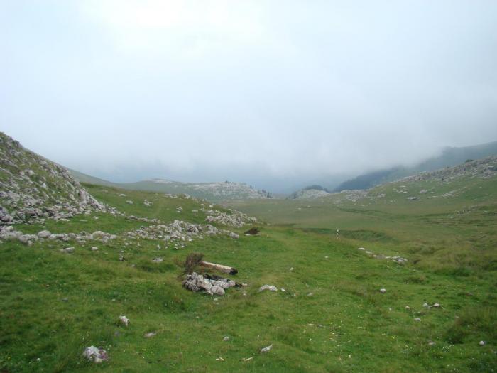 DSC01957 - Concediu 2008