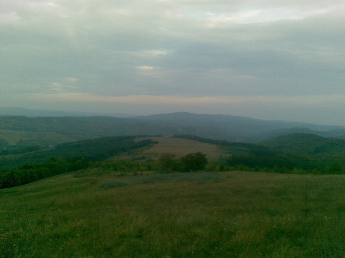 29092009 - vanatoare padure