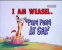 weasel - I am weasel