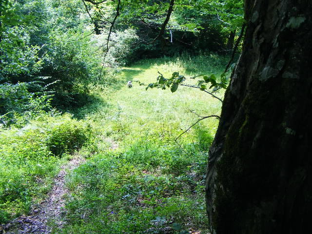 DSCF2432