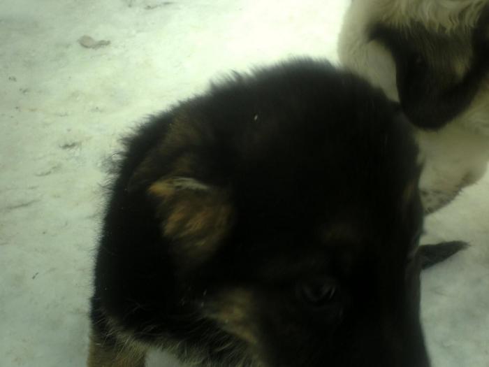 Picture 029