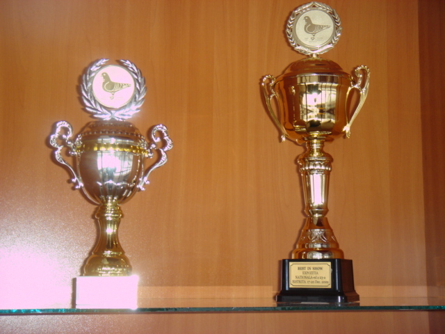 trofee 011