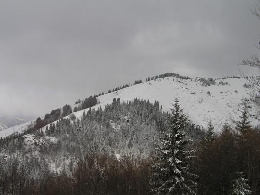P2040264 - diverse