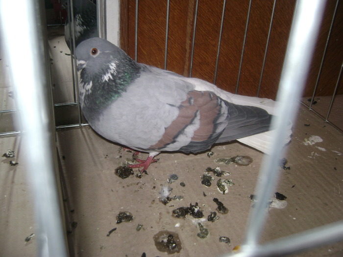 DSC08082