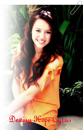 3084931634_ccdb645961