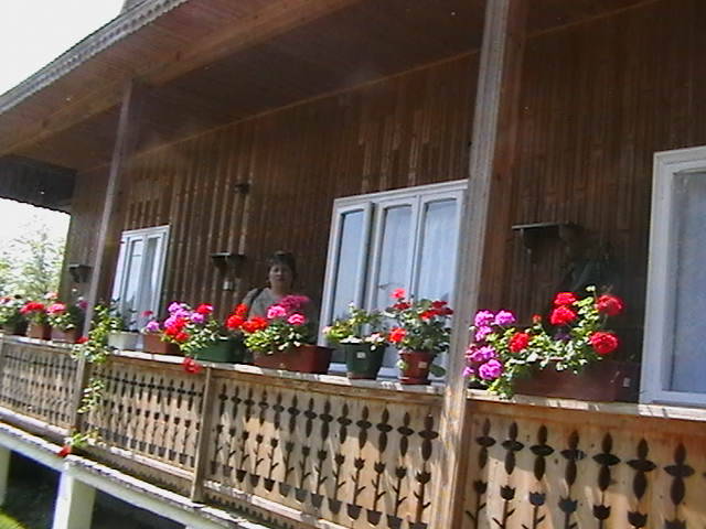 IMGA0886 - In Delta Dunarii- Mila 23-iunie 2009