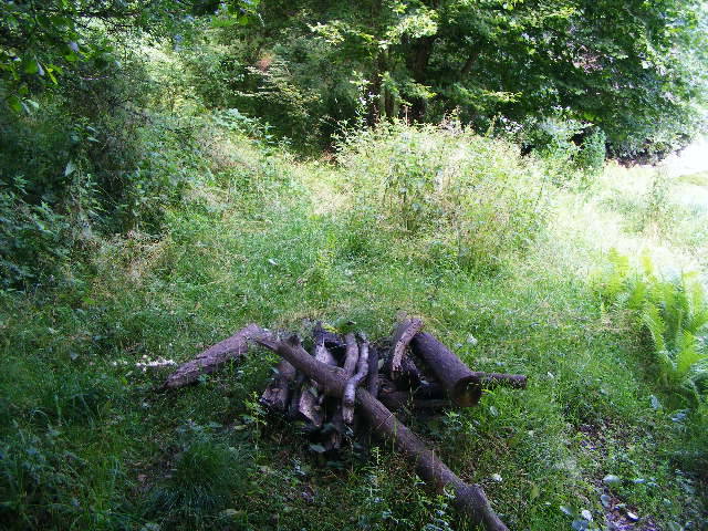 DSCF2612