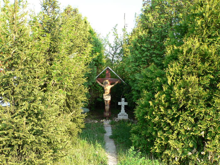 P1040907