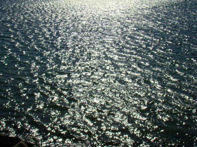 DSC02546 - 2008-03-02 - La Marea Neagra