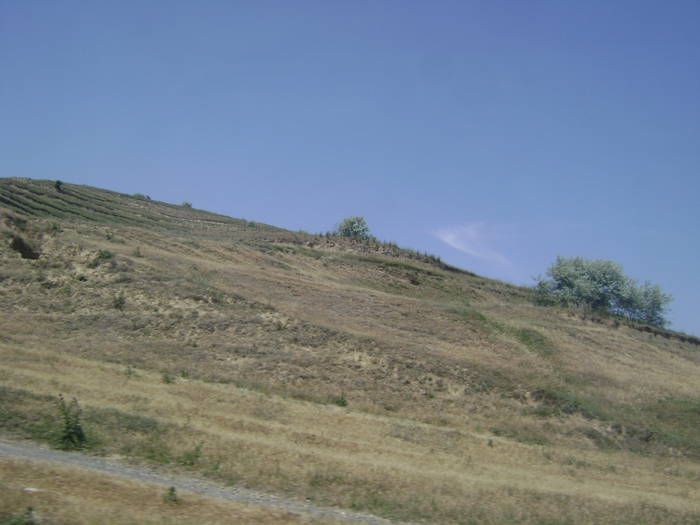 TULCEA - EXCURSIE  in DELTA