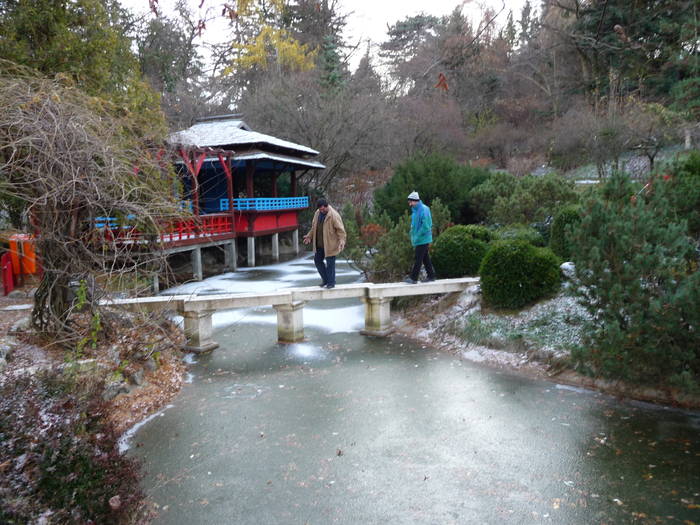 Gradina Botanica Cluj Napoca - Intalniri cu colectionari de cactusi