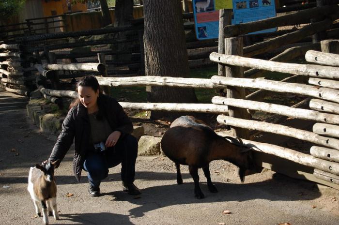 DSC_0093 - zoo amneville