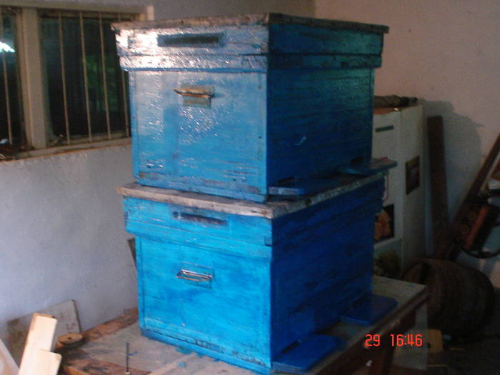 DSC05532 - albine alte noutati