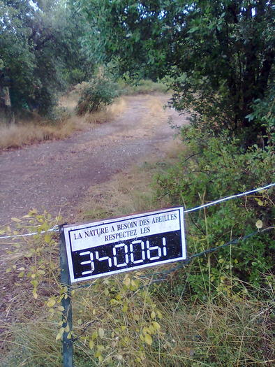 marcaj-stupina Misel Mahmoud. - ApiMondia