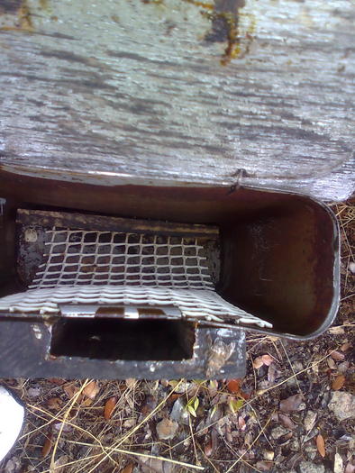 Imagine1378 - ApiMondia