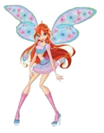 bloom%20believix