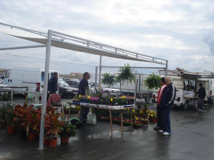 Picture 464; Targ in Orklini
