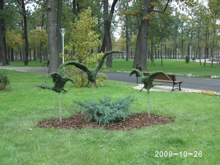  - Parcul Tineretului Craiova