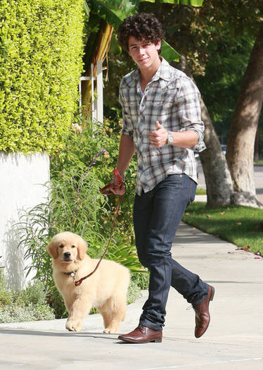 Birthday Boy Nick Jonas Takes Pup Walk GQRfbpi-1Ixl - nick jonas