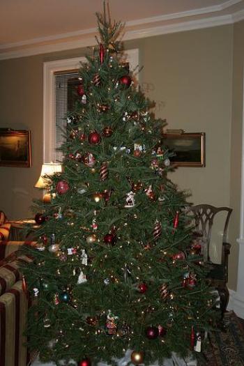 18_poze_craciun - Craciun