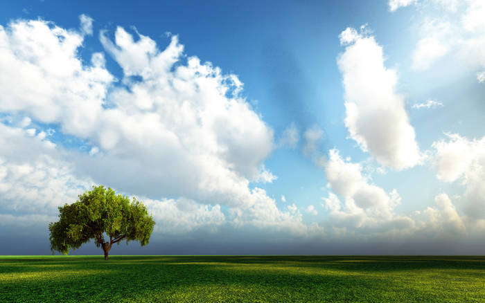 (74) - HD Wallpapers