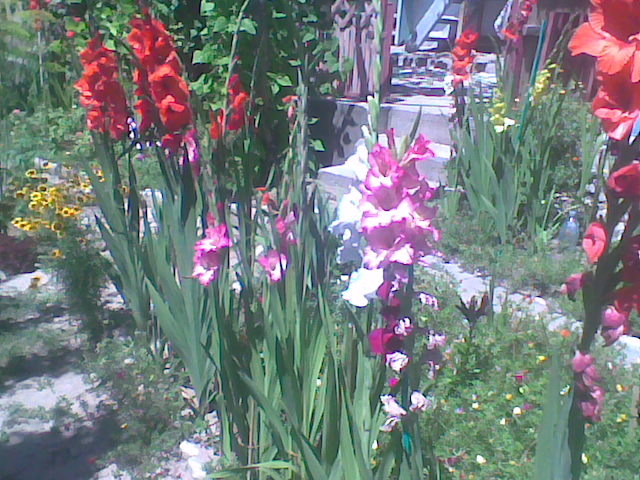 Imag053
