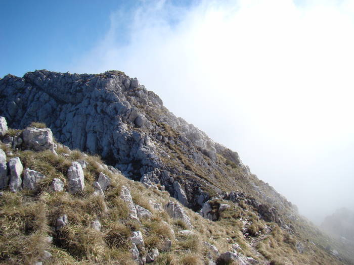 DSC03224 - Piatra Craiului MAI