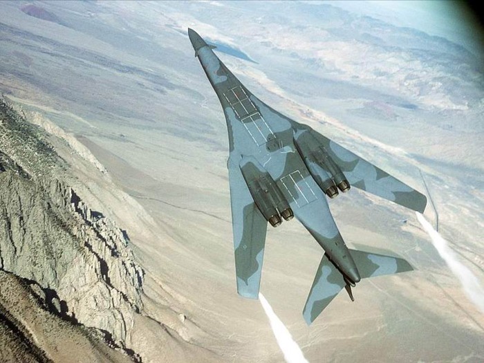 webshots421 - Animale