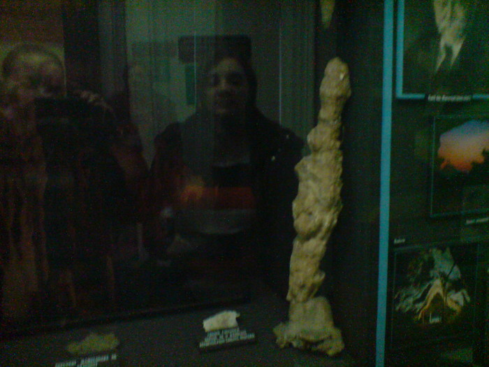 DSC00485 - STEFY BUCURESTI - MUZEUL DE GEOLOGIE
