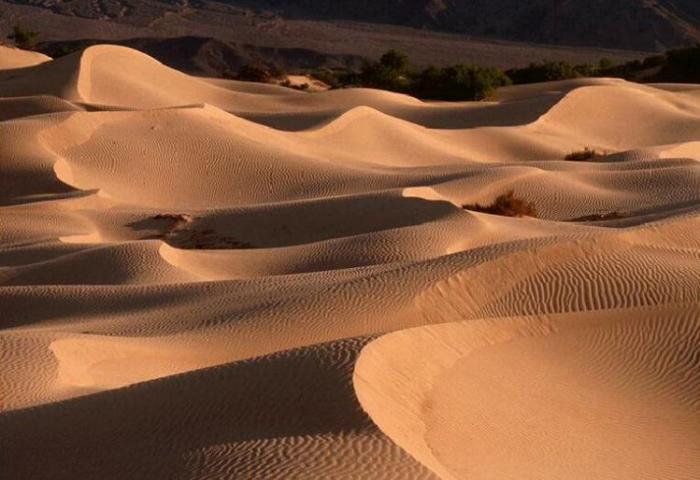 87767656766576565765676