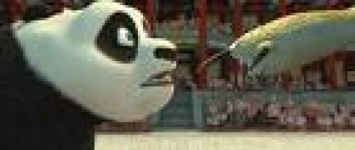 panda + zanna - kung fu panda