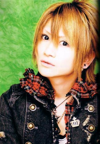 502966 - ancafe poze