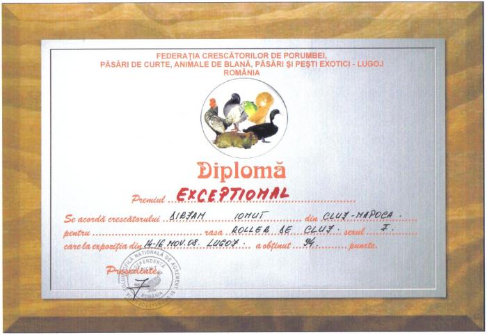 diploma Lugoj 2008 - Palmares