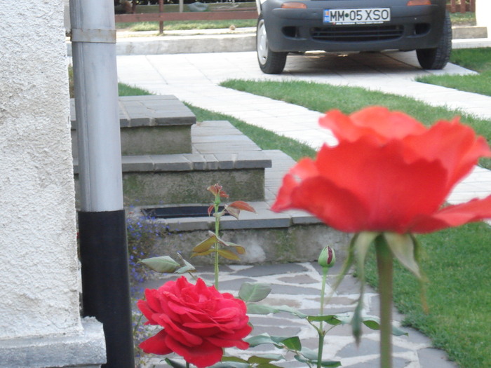 Picture 375