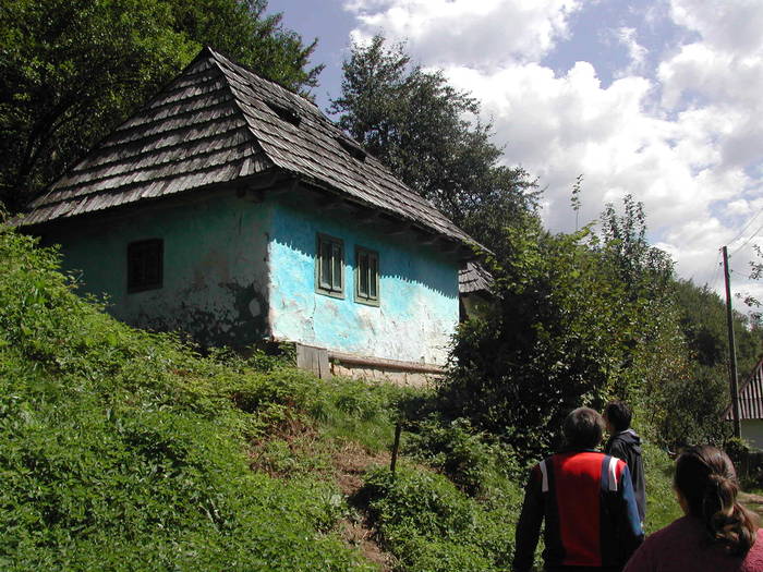 Picture 266 - Firiza