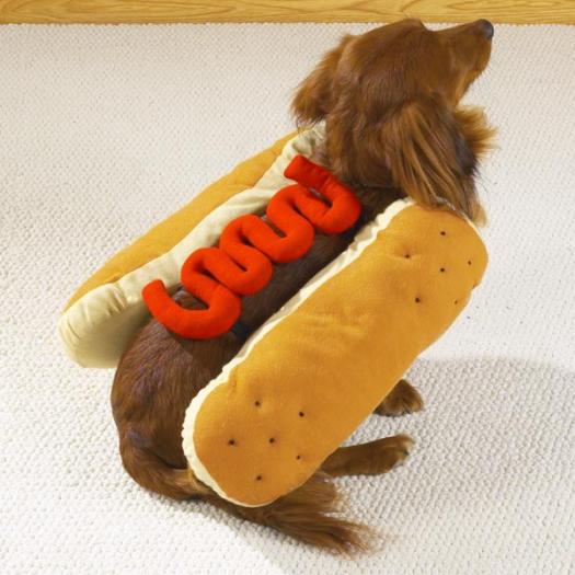 Hot_Dog - amuzante
