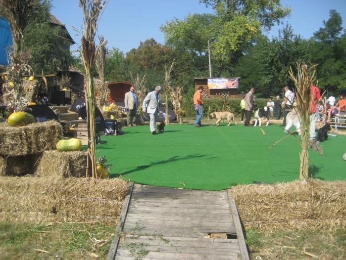 IMG_3277 - EXPO Tg Mures 2008