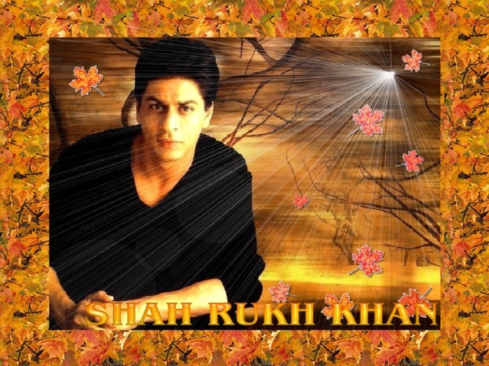 shahrukh_khan_wallpapers_047